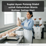 Suplai Ayam Potong Stabil untuk Kebutuhan Bisnis Kuliner Setiap Hari
