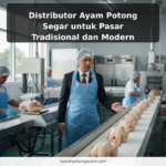 Distributor Ayam Potong Segar untuk Pasar Tradisional dan Modern