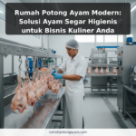 Rumah Potong Ayam Modern: Solusi Ayam Segar Higienis untuk Bisnis Kuliner Anda